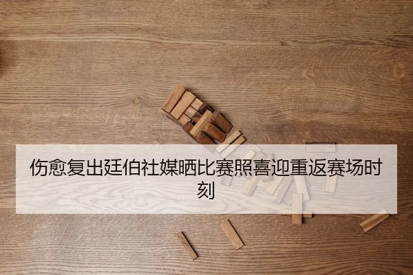 伤愈复出廷伯社媒晒比赛照喜迎重返赛场时刻